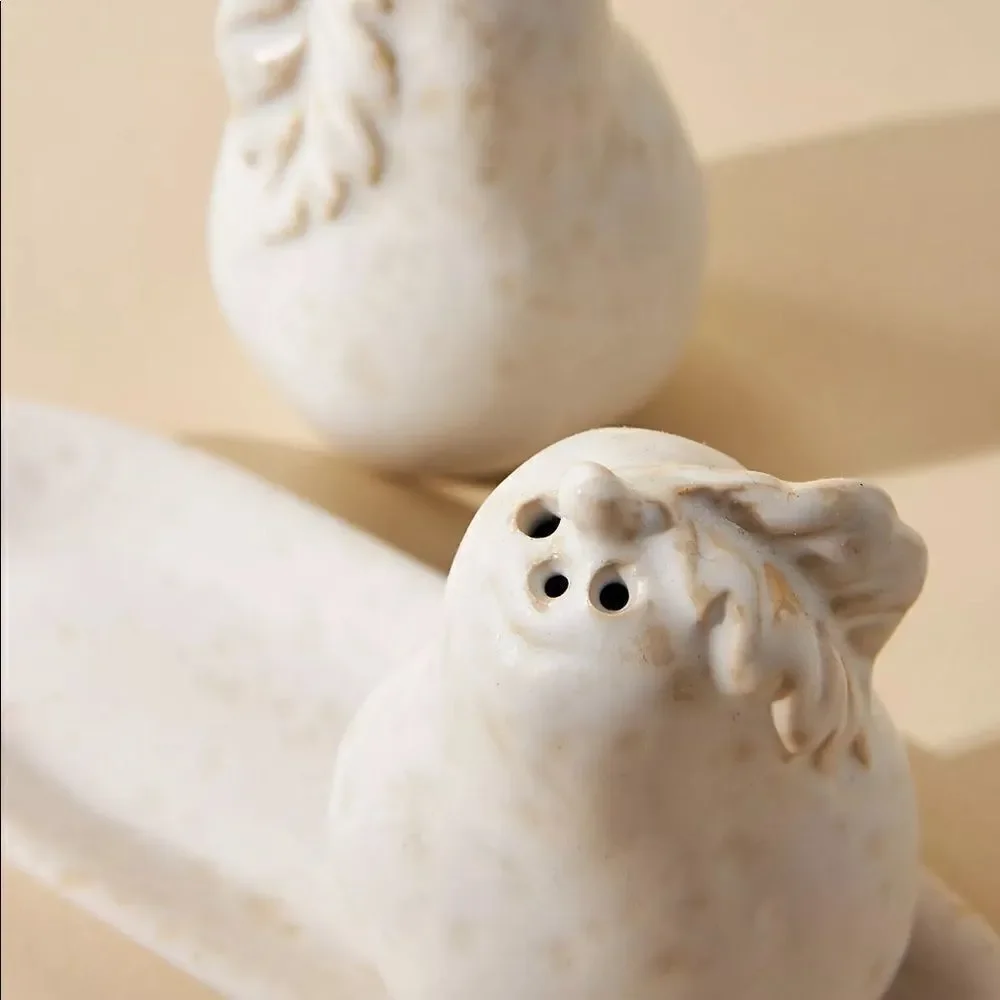 Anthropologie anthropologie’s salt